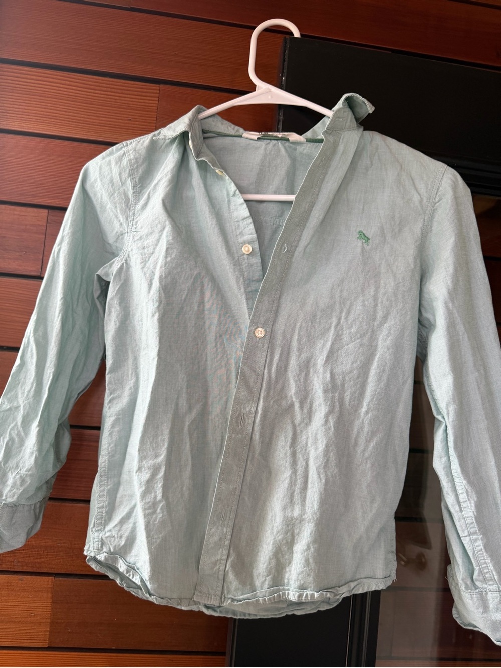 H&M KIDS Pale Mint Button-Down Shirt
